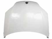 Motorhaube RESTYLING Renault III Dynamique Motor 2,0 Ltr. - 110 kW dCi Diesel CAT 5 puertas 2012 2012