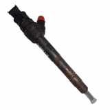 Kraftstoff-Injector G4D39K546AA Jaguar 2.0 Diesel 132 kW (180 CV) Auto R-Sport Motor 2,0 Ltr. - 132 kW Diesel CAT 4 puertas 2014 2014