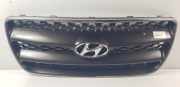Grill Hyundai Santa Fe II SUV 2.2 CRDi 16V 4x4 (D4EB) 2006