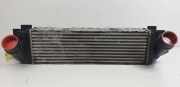 Ladeluftkühler 1751782357002 BMW X3 (F25) SUV xDrive20d 16V (N47-D20C) 2010