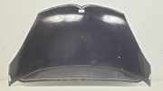 Motorhaube 5PUERTAS Citroën C4 Grand Picasso (UA) Großraumlimousine 1.8 16V (EW7A(6FY)) 2006