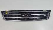 Grill 8636125620 Hyundai Accent Schrägheck 1.4i 16V (G4EE) 2002