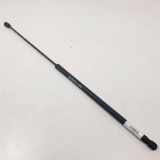Gasdruckfeder Vorne 1K0823359A Volkswagen V BERLINA (1K1) Highline 1.9 TDI 105 CV Motor 1,9 Ltr. - 77 kW TDI 5 puertas 2008 2008