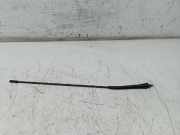 Antenne PEUGEOT 307 (3A/C)