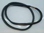 Dichtung Heckklappe HYUNDAI GETZ (TB)