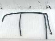 Türdichtung BMW 3 (F30, F80)