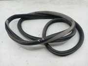 Türdichtung hinten links VOLKSWAGEN GOLF IV Variant (1J5)