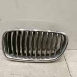 Kühlergrill BMW 5 (F10)