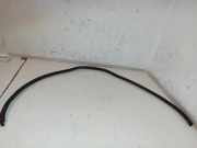 Dichtung Frontblende VOLKSWAGEN PASSAT Variant (3B6) AZM