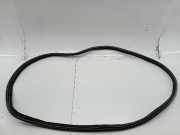 Türdichtung hinten links CITROËN C5 II (RC_)