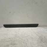Einstiegsleiste TOYOTA AURIS (_E15_)
