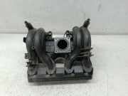 Ansaugkrümmer VOLKSWAGEN POLO (6N2)