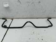 Stabilisator vorne VOLKSWAGEN POLO (6N2)