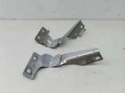 Motorhaubenscharnier RENAULT MEGANE II (BM0/1_, CM0/1_)