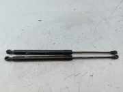 Gasfeder Heckklappe links/rechts RENAULT CLIO IV Caixa