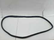 Türdichtung hinten links OPEL ASTRA G Hatchback (T98)