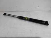 Gasfeder Heckklappe AUDI A3 Sportback (8PA)