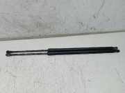 Gasfeder Heckklappe BMW 3 Compact (E46)