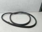 Türdichtung vorne links VOLKSWAGEN NEW BEETLE (9C1, 1C1) AQN