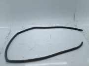 Türdichtung hinten links MAZDA 3 (BK)