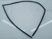 Dichtung TOYOTA AVENSIS (_T22_)