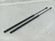 Gasfeder Heckklappe BMW 1 (F40)