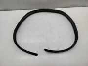 Dichtung Motorhaube BMW 3 (F30, F80)
