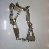 Motorhaubenscharnier RENAULT SCÉNIC II (JM0/1_)