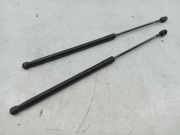 Gasfeder Heckklappe links/rechts BMW 3 Touring (E91)