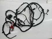 Kabelbaum FORD FOCUS IV Turnier (HP)