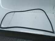 Türdichtung hinten links MAZDA 3 (BK)