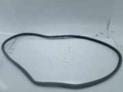 Türdichtung hinten links PEUGEOT 307 (3A/C)