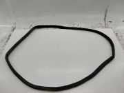 Türdichtung hinten links AUDI A3 (8L1)