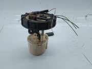 Kraftstoffpumpe FORD TRANSIT CONNECT (P65_, P70_, P80_)