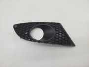 Gitter Nebelscheinwerfer SEAT LEON (1P1)