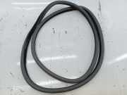 Türdichtung hinten links BMW 5 (F10)