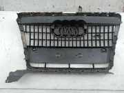 Kühlergrill AUDI Q5 (8RB)