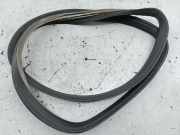 Türdichtung vorne links SEAT LEON (1M1)