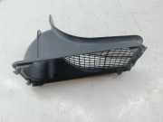 Gitter Luftfilter VOLKSWAGEN POLO (6R1, 6C1) CAVE