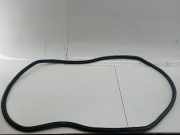 Dichtung Heckklappe SEAT EXEO ST (3R5)