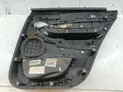 Türverkleidung hinten links CITROËN DS5