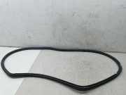 Türdichtung hinten links VOLKSWAGEN PASSAT Variant (3B6) AVF