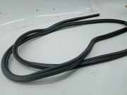 Dichtung Heckklappe RENAULT MEGANE Scenic (JA0/1_)