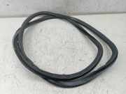 Türdichtung hinten links AUDI A4 Avant (8ED, B7)
