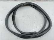 Türdichtung hinten links SMART FORFOUR Hatchback (453)