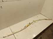 Kopfairbag links CHEVROLET ORLANDO (J309)