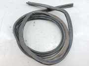 Dichtung Heckklappe RENAULT MEGANE Scenic (JA0/1_)