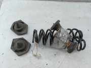 Fahrwerksfeder hinten RENAULT MEGANE IV Sporter (K9A/M/N_)