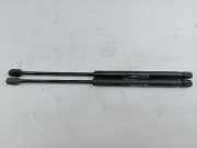 Gasfeder Heckklappe links/rechts FIAT PUNTO (176_)