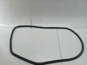 Türdichtung hinten links SEAT EXEO ST (3R5)